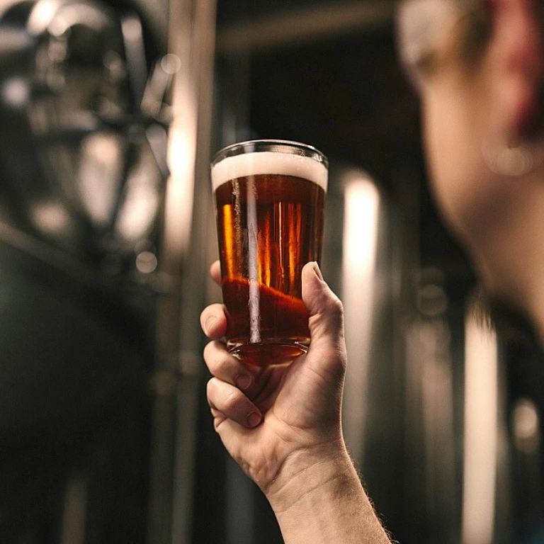 The Tangy Twist: Exploring Orange-Infused Brews